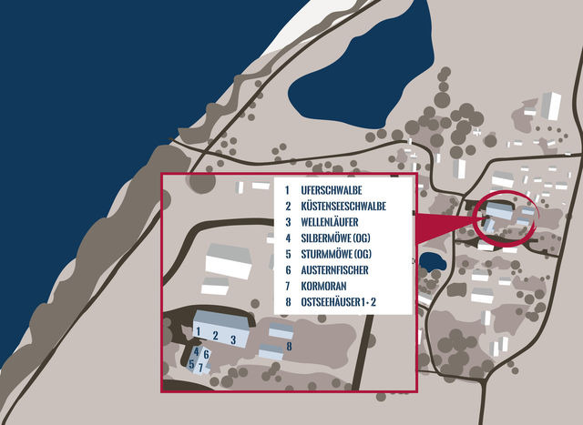 Ferienwohnung in Fehmarn OT Westermarkelsdorf - Austernfischer - Bild 17