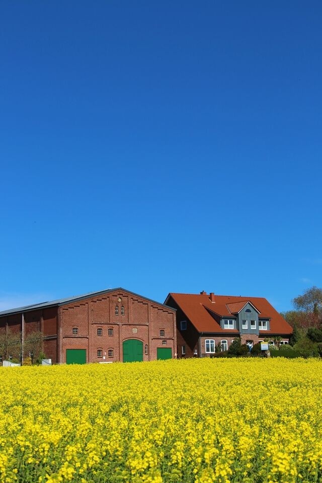 Ferienwohnung in Fehmarn OT Meeschendorf - Kleingarn - "Meeresblick" Nr.10 - Bild 18