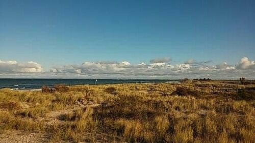 Ferienwohnung in Fehmarn OT Todendorf - FW Einfeldt - Bild 9