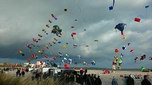 Ferienwohnung in Fehmarn OT Todendorf - FW Einfeldt - Bild 10