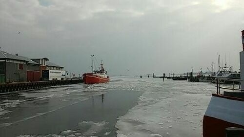 Ferienwohnung in Fehmarn OT Todendorf - FW Einfeldt - Bild 12