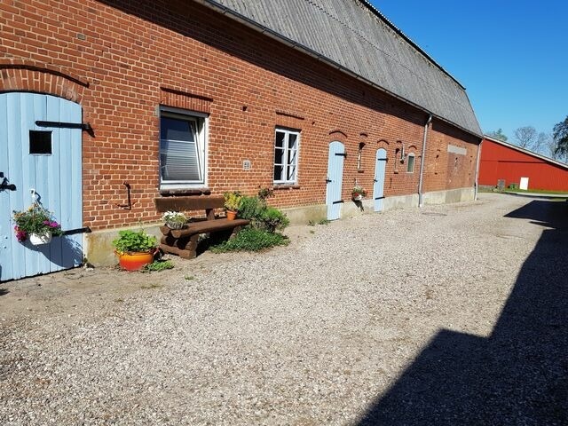 Ferienwohnung in Fehmarn OT Bisdorf - Ferienhof Bisdorf "Bauernhaus" - Bild 5