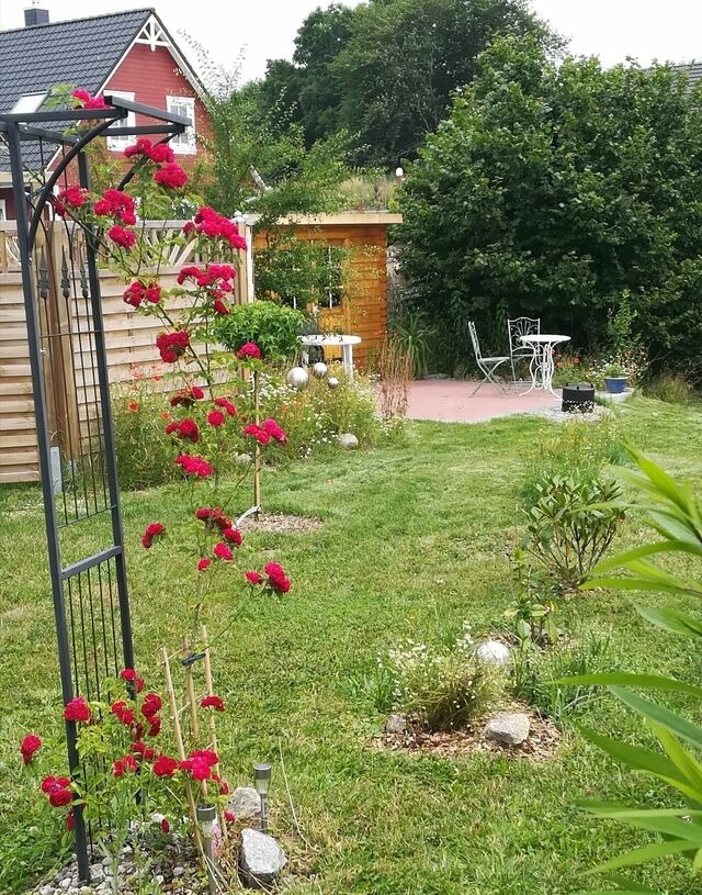 Ferienwohnung in Retschow - AUSZEIT in HARMONIE - Natur pur mit Entspannungsangeboten und Übernachtung im Wasserbett - Bild 17