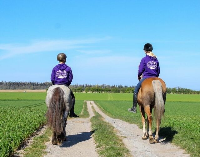 Ferienwohnung in Fehmarn OT Gammendorf - "Ferienhof Seelust" Ferienwohnung Lerche - Bild 5