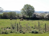 Ferienwohnung in Hohwacht - Seeschwalbe - Bild 21