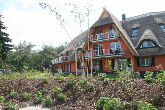 Ferienwohnung in Dierhagen - Balkon-Maisonette-Ferienwohnung - Bild 9