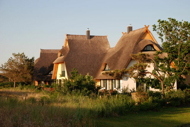 Ferienwohnung in Dierhagen - Garten-Ferienwohnung - Bild 14