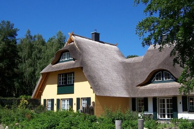 Ferienhaus in Dierhagen - Reetgedecktes Ferienhaus - Bild 10