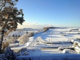 Ferienwohnung in Grömitz - Strandhaus am Yachthafen App. 6 mit herrlichem Ostseeblick - Bild 17