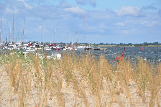 Ferienwohnung in Fehmarn OT Burgtiefe - Apartement "Am Südstrand" - Bild 14