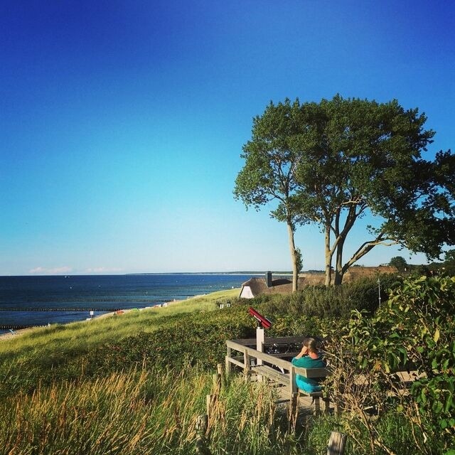 Ferienwohnung in Zingst - Strandläufer App. 205 - Bild 19