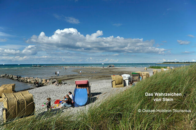 Ferienwohnung in Stein - Whg. Strandläufer- Haus Nordlichter - Bild 16