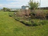 Bungalow in Fehmarn OT Burg - Ostsee Huus - Bild 20