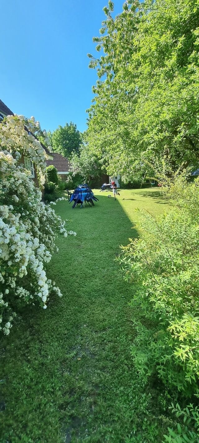 Ferienwohnung in Kellenhusen - Rosa Canina, W7 - Bild 16