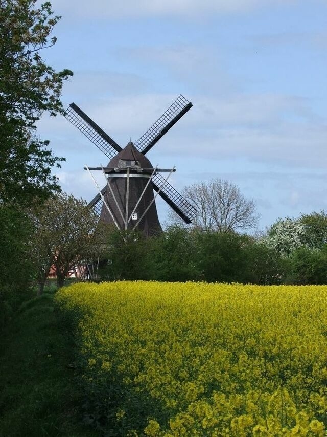 Ferienwohnung in Fehmarn OT Lemkenhafen - Ferienwohnung Leichtwind - Bild 19