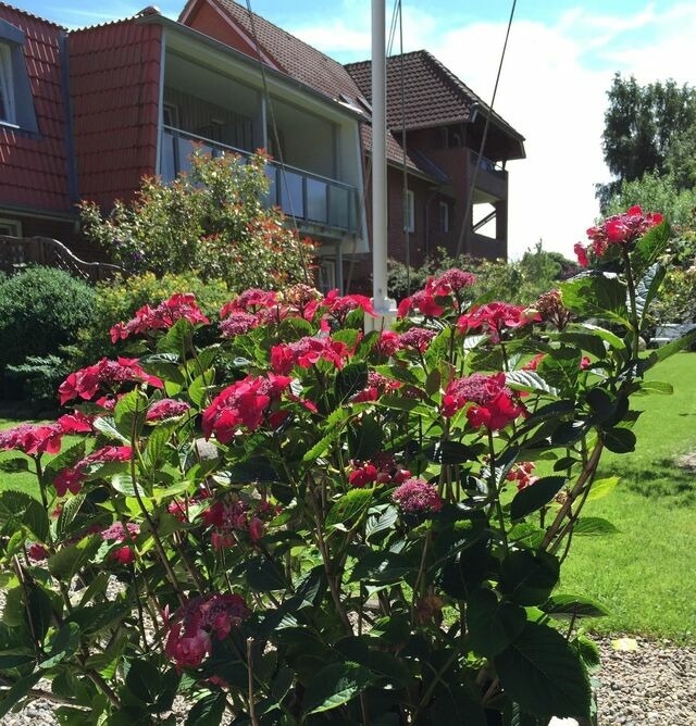 Ferienwohnung in Fehmarn OT Staberdorf - Landhaus Voss Wohnung 1 - Bild 2