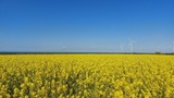 Ferienwohnung in Fehmarn OT Presen - Ferienwohnung Meerweh auf Fehmarn - Bild 1