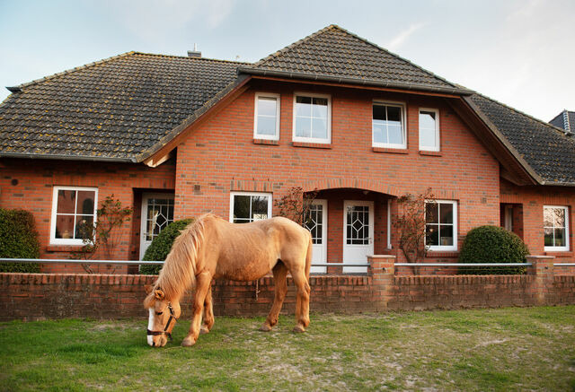 Ferienwohnung in Fehmarn OT Neujellingsdorf - Bauernhof Höper-Rauert - Reihenhaus 7 - Bild 6