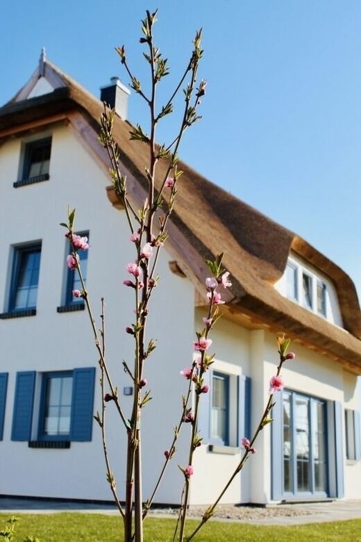 Ferienwohnung in Dranske - Ferienhaus Rügenzauber - Bild 25