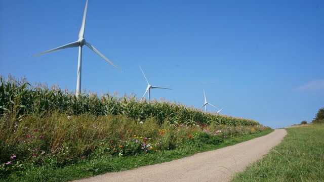 Ferienwohnung in Fehmarn OT Wulfen - Max Bienenwachs - Bild 22