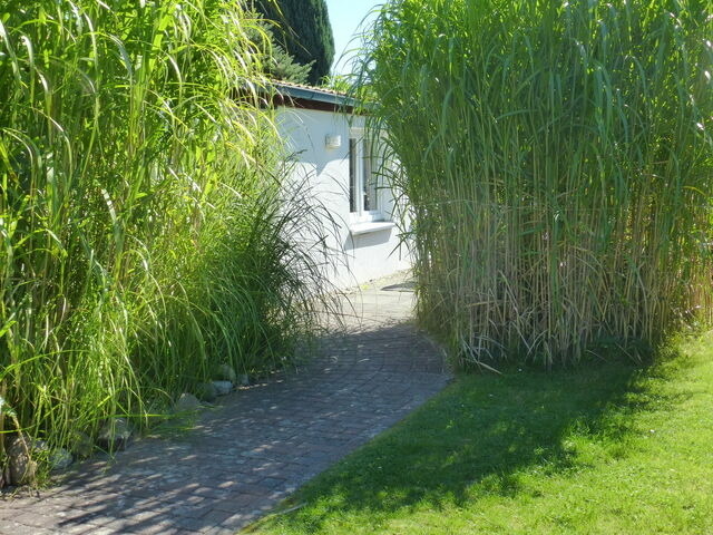 Bungalow in Dahme - Haus Seemöwe - Bild 3