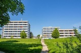 Ferienwohnung in Kellenhusen - Appartement Lübke 3-0-4 - Bild 11