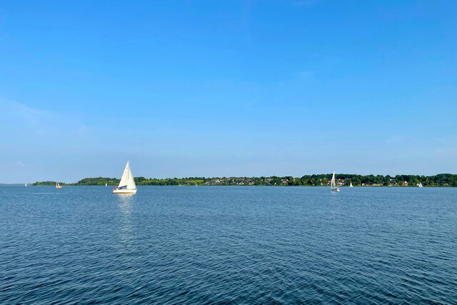 Ferienhaus in Schleswig - Wasserhaus Schlei - Bild 15