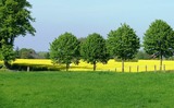 Ferienwohnung in Rieseby - Gut Büchenau - Ferienwohnung Meeresbrise - Bild 10