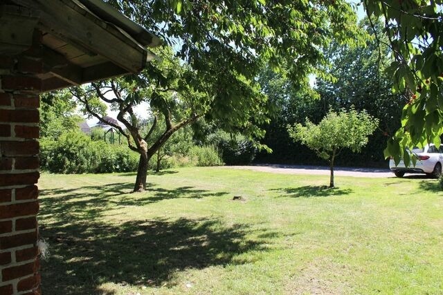 Ferienwohnung in Hasselberg - BARFUSSpark - Ferienwohnung Seepferdchenhöhle - Bild 9