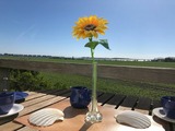 Ferienwohnung in Fehmarn OT Neue Tiefe - FehmFelicità (9098/II) - Fehmarn - Bild 2