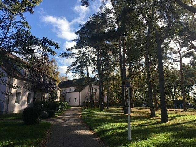 Ferienwohnung in Dierhagen - Ferienwohnung Brise - Bild 16