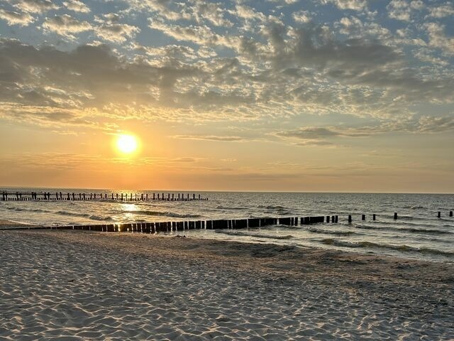 Ferienhaus in Zingst - Herzmuschel - Bild 22