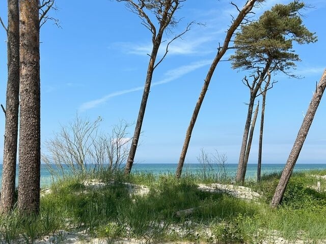 Ferienhaus in Zingst - Herzmuschel - Bild 24