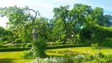 Ferienwohnung in Starkow - Ferienwohnung Birnengarten am Pfarrgarten Starkow - Bild 14