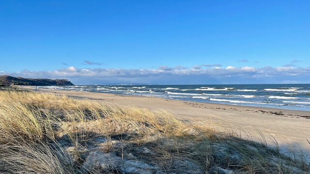 Ferienhaus in Baabe - Meeresblume - Baabe - Bild 19