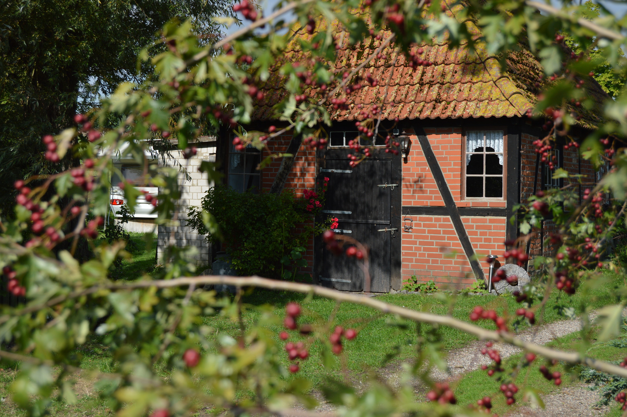 Ferienhof Kluvetasch Seestern Rettin Ostsee Ferienwohnung